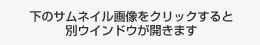 下のサムネイル画像をクリックすると別ウインドウが開きます